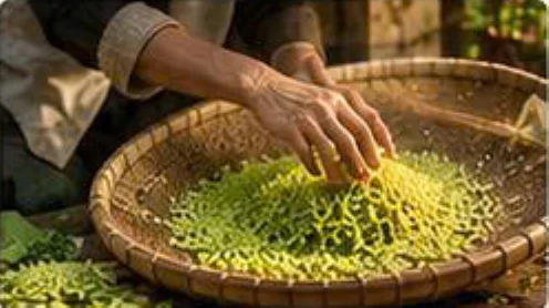 Cách bảo quản cốm tươi đúng cách